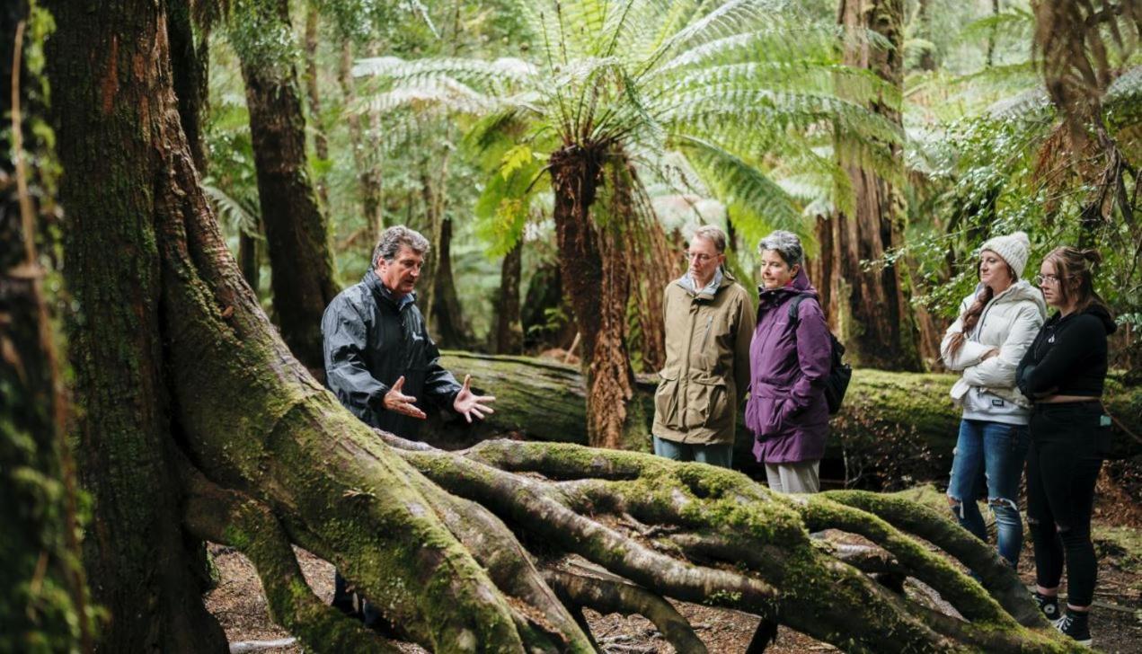 Tall Timbers Tasmania Smithton Eksteriør billede